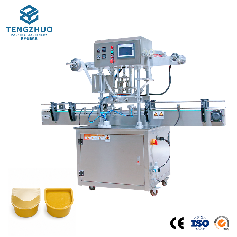Automatic Linear Double Heads Roll Film Heat Sealing Machine